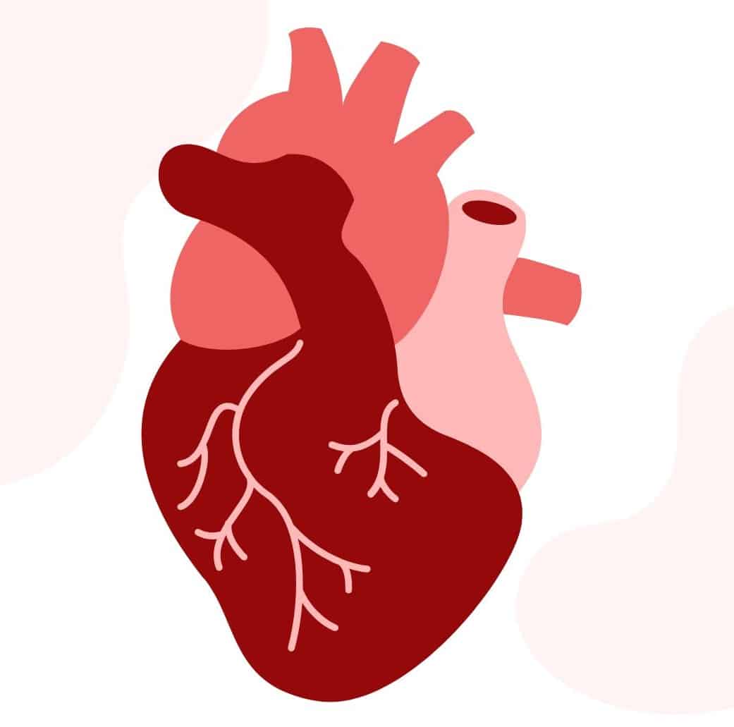 heart health graphic